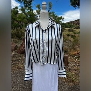 Cropped Button Down Stripper XL Top